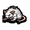 Pale Rat