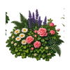 Greenward Flower Bed // name