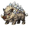 Salt Boar