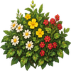 Town Garden Flowers // name