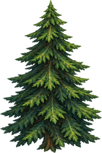 Town Pine // name