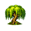 Willow Tree